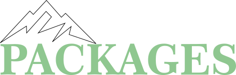 trip in kashmir